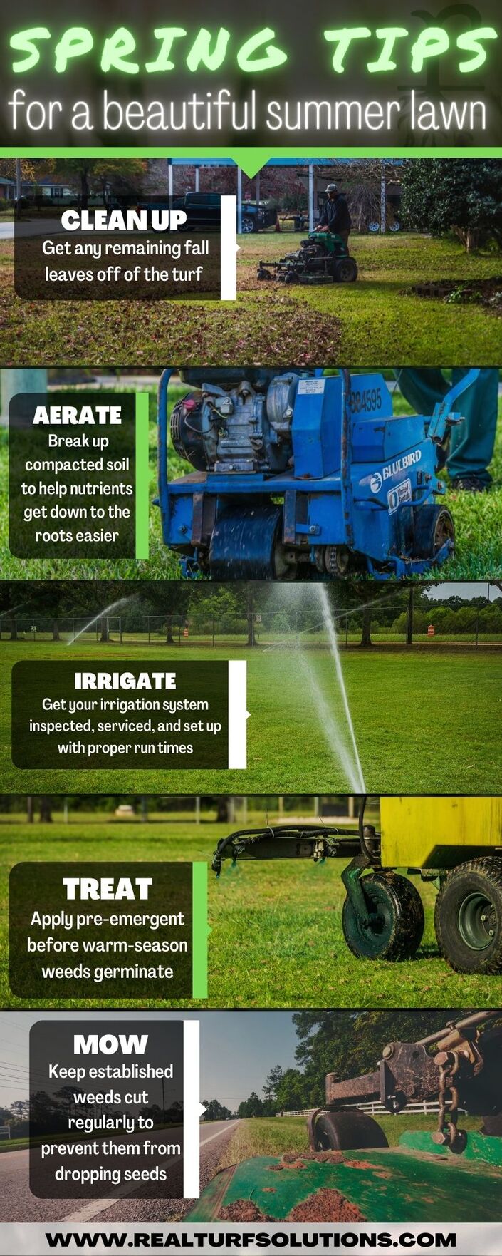 Spring Tips Infographic