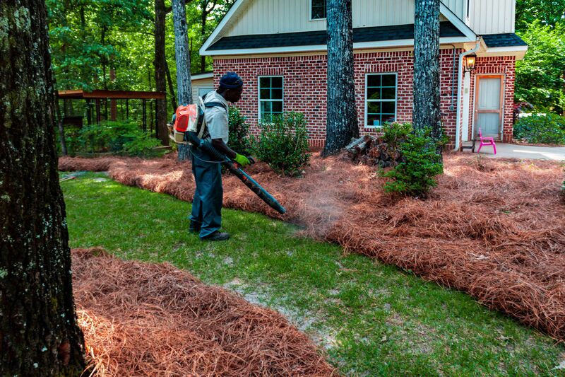 Landscaper blow tucking fresh pinestraw in a yard
