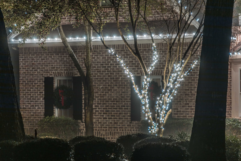 Christmas lights service in Kathleen, Georgia