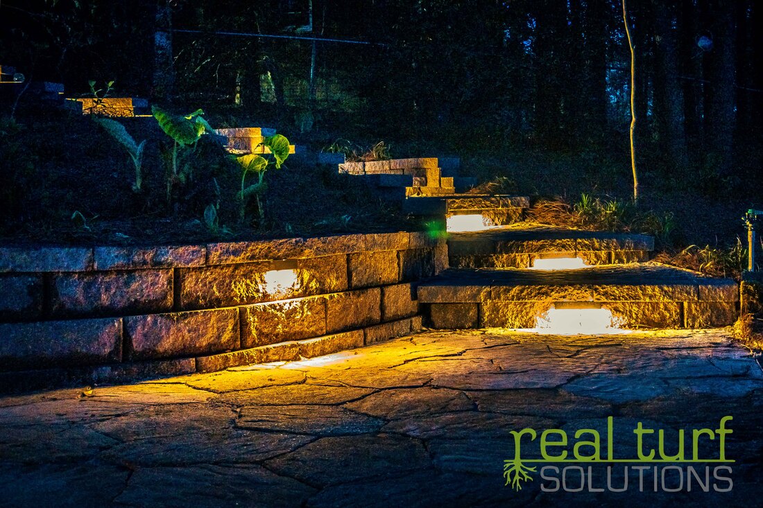 Pathway with landscape lighting